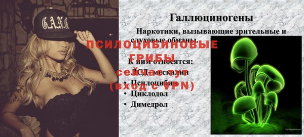 крисы Арсеньев